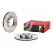 Jeu de 2 disques de frein avant BREMBO 09.6734.20 - Visuel 1