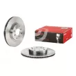 Jeu de 2 disques de frein avant BREMBO 09.6752.10 - Visuel 1