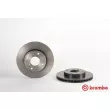Jeu de 2 disques de frein avant BREMBO 09.6753.21 - Visuel 1