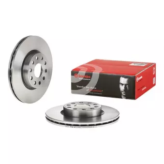 Jeu de 2 disques de frein avant BREMBO 09.6769.10