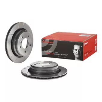 Jeu de 2 disques de frein arrière BREMBO 09.6841.75