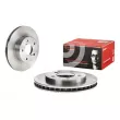 Jeu de 2 disques de frein avant BREMBO 09.6877.10 - Visuel 1
