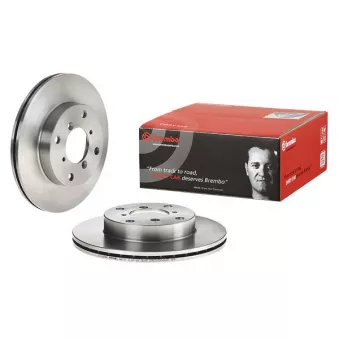 Jeu de 2 disques de frein avant BREMBO 09.6905.10