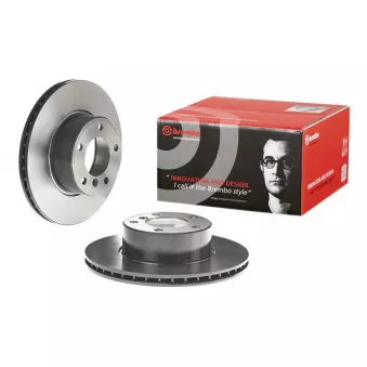Jeu de 2 disques de frein avant BREMBO 09.6924.11