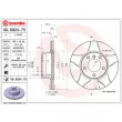 Jeu de 2 disques de frein avant BREMBO 09.6924.75 - Visuel 2