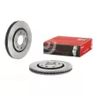 Jeu de 2 disques de frein avant BREMBO 09.6932.11 - Visuel 1