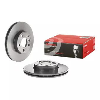 Jeu de 2 disques de frein avant BREMBO 09.6934.11