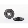 Jeu de 2 disques de frein avant BREMBO 09.6934.75 - Visuel 1