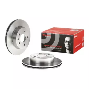 Jeu de 2 disques de frein avant BREMBO 09.6983.10