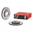 Jeu de 2 disques de frein avant BREMBO 09.7011.31 - Visuel 1