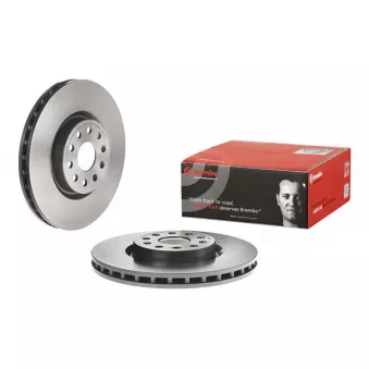 Jeu de 2 disques de frein avant BREMBO 09.7074.11
