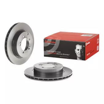 Jeu de 2 disques de frein arrière BREMBO