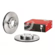 Jeu de 2 disques de frein avant BREMBO 09.7195.10 - Visuel 1