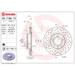Jeu de 2 disques de frein avant BREMBO 09.7196.1X - Visuel 2
