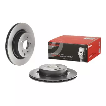Jeu de 2 disques de frein arrière BREMBO 09.7356.21