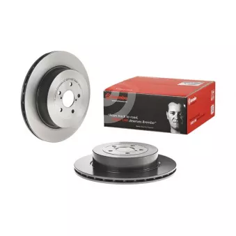 Jeu de 2 disques de frein arrière BREMBO 09.7813.11
