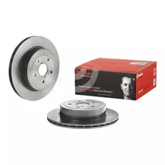Jeu de 2 disques de frein arrière BREMBO 09.7813.21