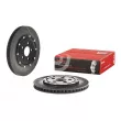 Disque de frein arrière droit BREMBO 09.7888.43 - Visuel 1