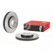 Jeu de 2 disques de frein avant BREMBO 09.7931.11 - Visuel 1