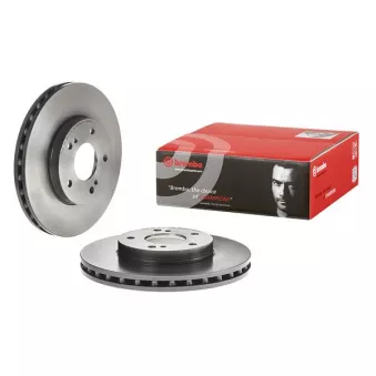 Jeu de 2 disques de frein avant BREMBO 09.7933.11