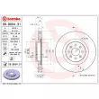 Jeu de 2 disques de frein avant BREMBO 09.8004.31 - Visuel 2