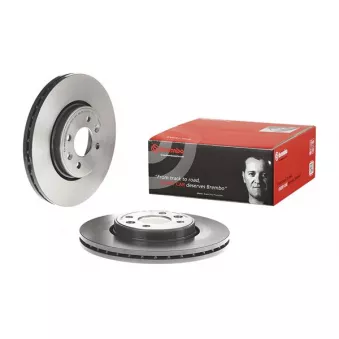 Jeu de 2 disques de frein avant BREMBO 09.8137.21