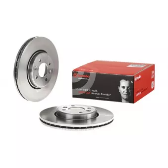 Jeu de 2 disques de frein avant BREMBO 09.8137.24