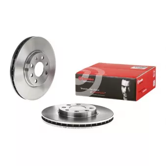 Jeu de 2 disques de frein avant BREMBO 09.8601.10