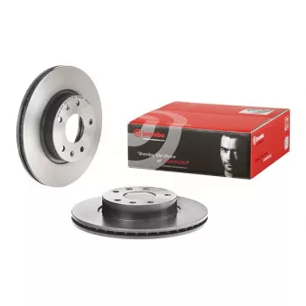 Jeu de 2 disques de frein avant BREMBO