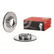 Jeu de 2 disques de frein avant BREMBO 09.8632.10 - Visuel 1