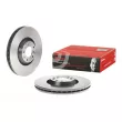 Jeu de 2 disques de frein avant BREMBO 09.8670.11 - Visuel 1