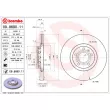 Jeu de 2 disques de frein avant BREMBO 09.8690.11 - Visuel 2