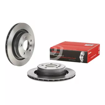 Disque de frein arrière droit BREMBO 09.8700.11