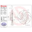 Jeu de 2 disques de frein avant BREMBO 09.8780.21 - Visuel 2