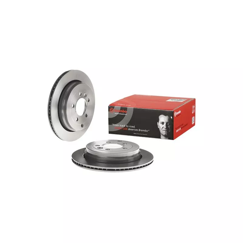 Jeu de 2 disques de frein arrière BREMBO 09.8874.31