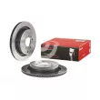 Jeu de 2 disques de frein arrière BREMBO 09.8876.31 - Visuel 1