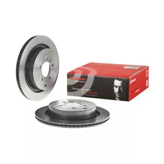 Jeu de 2 disques de frein arrière BREMBO