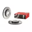 Jeu de 2 disques de frein avant BREMBO 09.8903.75 - Visuel 1
