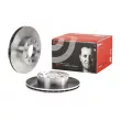 Jeu de 2 disques de frein avant BREMBO 09.8932.10 - Visuel 1