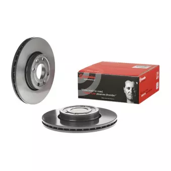 Jeu de 2 disques de frein avant BREMBO 09.9078.11