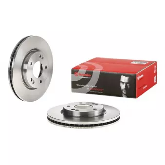 Jeu de 2 disques de frein avant BREMBO 09.9079.20