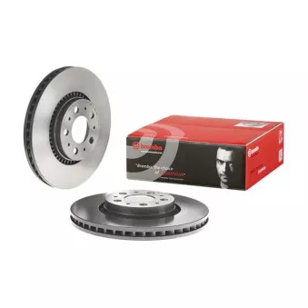 Jeu de 2 disques de frein avant BREMBO 09.9130.11
