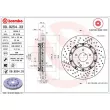 Jeu de 2 disques de frein avant BREMBO 09.9254.33 - Visuel 2
