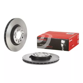 Jeu de 2 disques de frein arrière BREMBO 09.9366.11