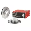 Jeu de 2 disques de frein avant BREMBO 09.9503.10 - Visuel 1