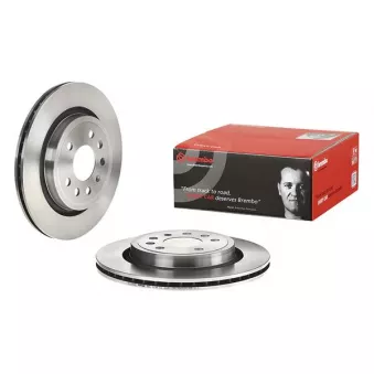 Jeu de 2 disques de frein arrière BREMBO 09.9505.10