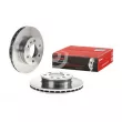 Jeu de 2 disques de frein avant BREMBO 09.9508.14 - Visuel 1