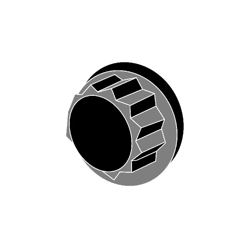 Jeu de boulons de culasse de cylindre CORTECO 49362998