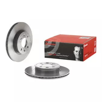 Jeu de 2 disques de frein avant BREMBO 09.9541.11