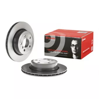 Jeu de 2 disques de frein arrière BREMBO 09.9573.11